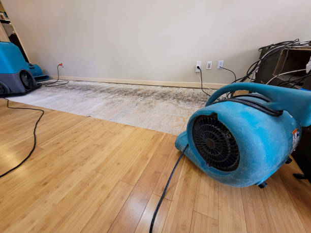 Professional Water Removal technician working in Harrison, OH